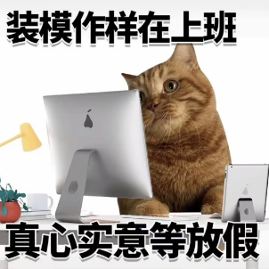 202505071352316516.Png